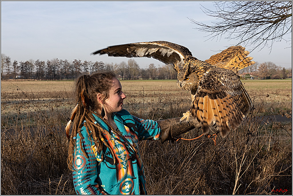 Cheyenne-Halbblut Hunting Wolf in der Falknerei Pierre Schmidt; Gymnich, 09.02.2023
